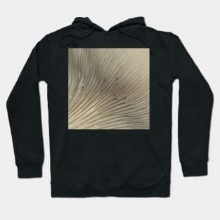 Oyster Mushroom Gills Hoodie